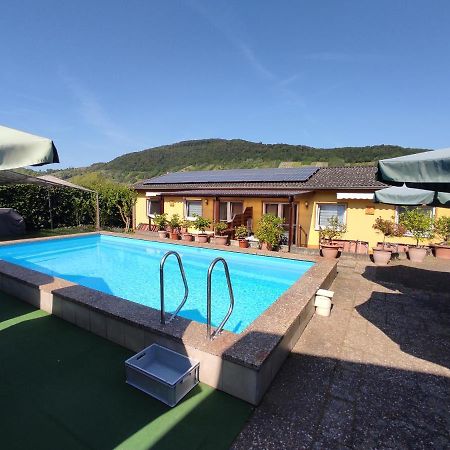 Moselferienweingut Schaefer Apartment Wintrich Bagian luar foto